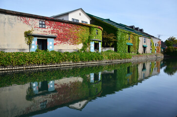 Fototapeta premium Leaves changing color at Otaru Canal in Hokkaido