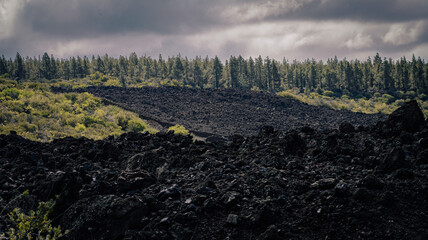 Volcanic landscape with cold lava flows