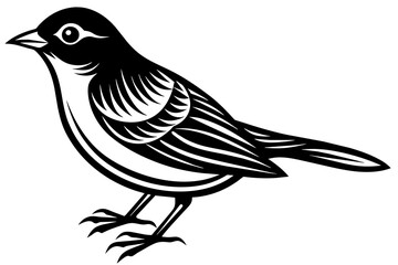  bird  silhouette  vector and illustration