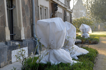 garten, winterfest, eingepackte, statue, schutz, pflanze, tropen, überwintern, topfpflanze