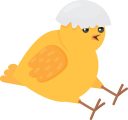 Cute chick with eggshell piece. Newborn baby bird