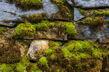 Old rough stones with green moss. Old wall detail for background.
