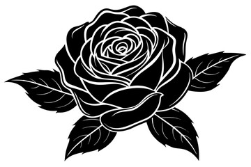 rose  silhouette  vector and illustration