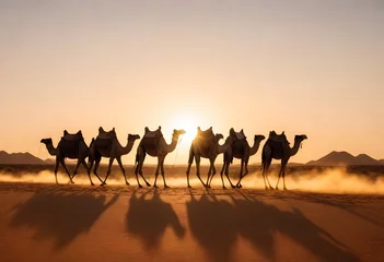 Foto auf Acrylglas A caravan of camels led by a person in desert  © Uzzi1001