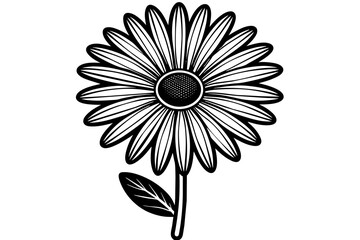 Daisy silhouette  vector and illustration