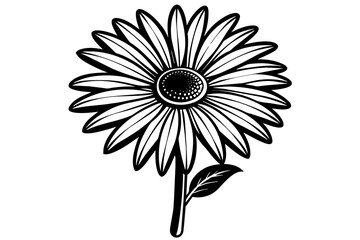 Daisy silhouette  vector and illustration