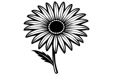 Daisy silhouette  vector and illustration