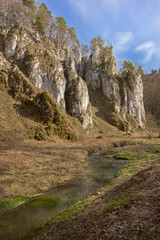 Spring landscape rock and creek in early spring on a sunny day