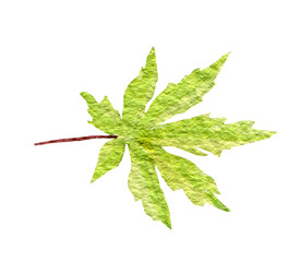 Green cannabis indica leaf painted in watercolor. Hand drawn marijuana illustration isolated on white background - 763904940