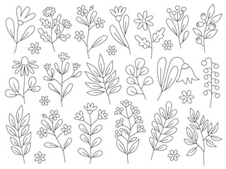 Simple line doodles. Spring flowers. Collection of simple cute flowers, plants, branches and berries. Flowers and leaves of different shapes. Design elements.