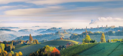 Fototapete Rund Fabulous vineyards landscape in South Styria near Gamlitz. © ali