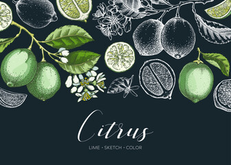 Lime fruit banner. Exotic plants design template. Citrus fruit sketches on chalkboard. Mixed media summer background. Hand drawn vector illustration. NOT AI generated - 763909146