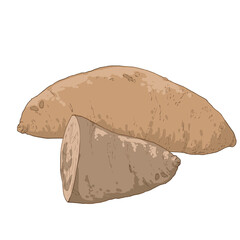 Sweet potato fruit food illustration creation