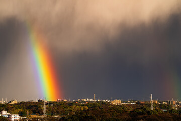 通り雨に架かる虹
