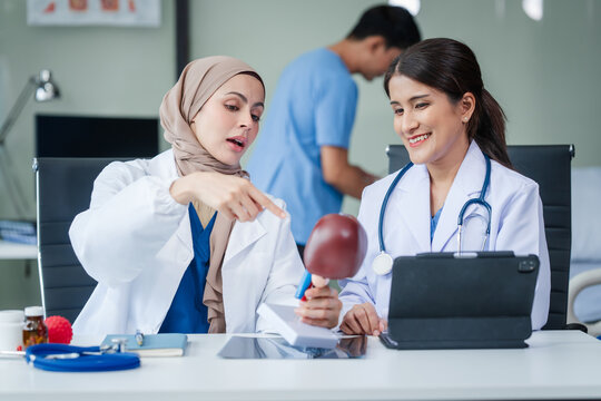 Medical team with nurses, Muslim people and Asian female doctors and specialists looking together at liver model for learning and Support and good health Listen to medical problems, medical costs