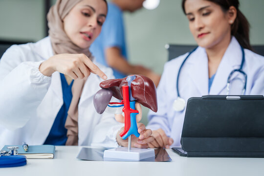 Medical team with nurses, Muslim people and Asian female doctors and specialists looking together at liver model for learning and Support and good health Listen to medical problems, medical costs