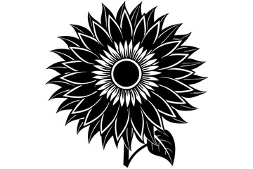 Sunflower silhouette  vector and illustration