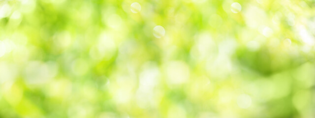 Blurred bright green bokeh background. Abstract fresh spring background with space for text.