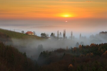 Foggy Sunrise in styrian Tuscany