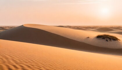 Fototapeta na wymiar beautiful shot desert sand with bushes clear sky