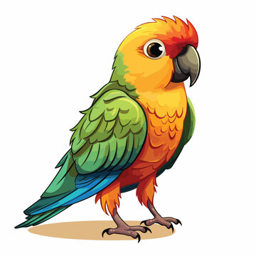 Conure parrot Clipart