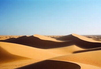 Fototapeta na wymiar beautiful shot desert sand with bushes clear sky