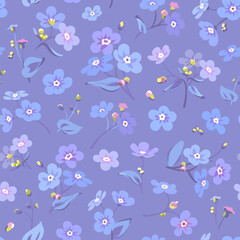 Seamless pattern with flowers - Myosotis isolated on a violet background. Hand-drawn illustrations of wildflowers. Forget-me-not flower. - obrazy, fototapety, plakaty