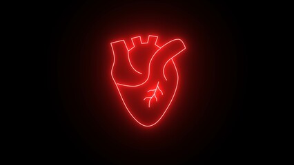 Red neon human heart on black background. Anatomical human heart with red line neon effect illustration. neon 3D realistic isolated  human heart. Anatomically correct heart with venous system.