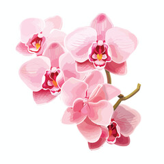 Elegant Orchid Clipart