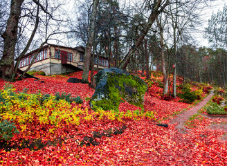 Fototapete bei efototapeten.de bestellen   