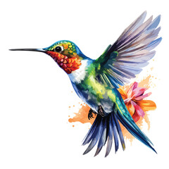 Hummingbird Clipart 