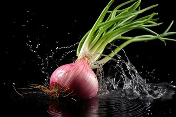 Shallot , Throw it into the water and spread it out , vegetable , black background.