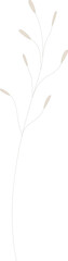 Delicate pastel dried flowers [vector].