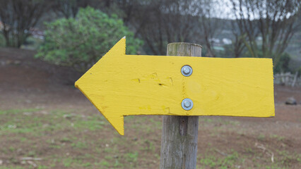 Guiding Arrow on Rustic Trail