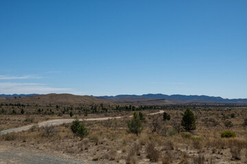 Gravel Road Leading through Scrubland