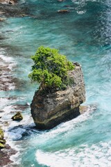 rocks in the sea