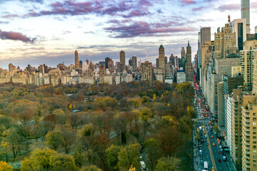 central parl view from above. new york city panoramic view of buildings