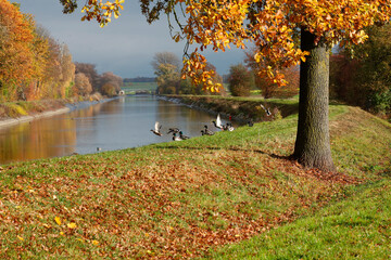 Herbstlandschaft mit Isarkanal, Bayern, Deutschland, Europa 