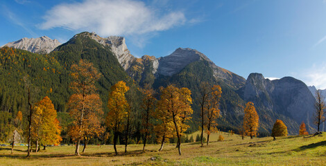 Obraz premium Karwendelgebirge im Herbst mit bunten Laubbäumen, Panorama