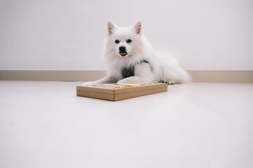 Fototapete bei efototapeten.de bestellen   