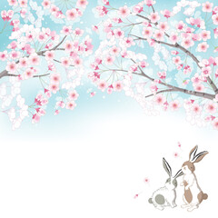 벚꽃과 토끼들이 있는 벡터 템플릿 일러스트레이션
- 763947175