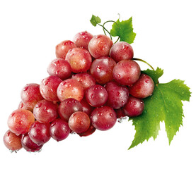 cacho de uva vermelha madura com gotas de água e folha de parreira isolado em fundo transparente