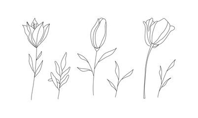 Hand drawn wild field flora, flowers, leaves, herbs, plants, branches. Minimal floral botanical line art. Vector illustration for logo or tattoo, invitations, save the date card.	