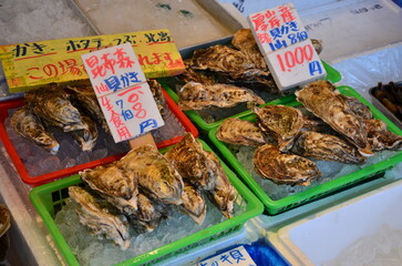 Nijo Market at Sapporo City in Hokkaido