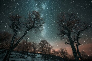 Fototapeta na wymiar Beautiful winter landscape with starry sky and milky way over trees