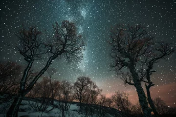 Foto auf Acrylglas Beautiful winter landscape with starry sky and milky way over trees © Cuong