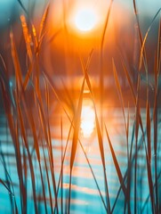  a sun shines behind reeds growing in water, shallow depth of field style, slovenian paintings, joyous celebration of nature, close-ups - obrazy, fototapety, plakaty