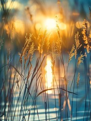  a sun shines behind reeds growing in water, shallow depth of field style, slovenian paintings, joyous celebration of nature, close-ups - obrazy, fototapety, plakaty