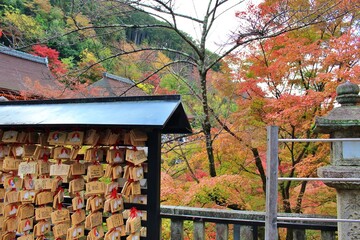 Red leaf season at Kiyomizu Temple, Osaka, Japan