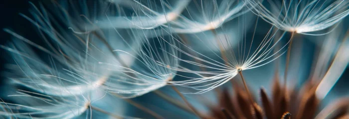 Fotobehang delicate dandelion seed head, showcasing the intricate parachute-like structure and textures of the seeds. Generative AI © Лилия Захарчук